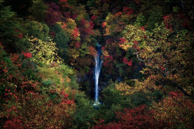 Khung cảnh mùa thu đẹp như tranh vẽ xung quanh thác Komadome ở Nasu, Nhật Bản.