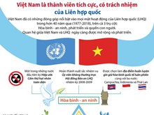 Việt Nam là thành viên tích cực, có trách nhiệm của LHQ