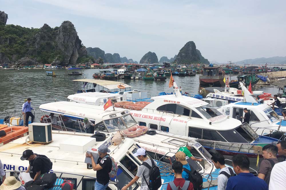 Cảng Cái Rồng là nơi trung chuyển hàng hóa và hành khách đi các đảo của tỉnh Quảng Ninh. Đây còn là nơi tập kết hải sản đánh bắt được của ngư dân huyện Vân Đồn.