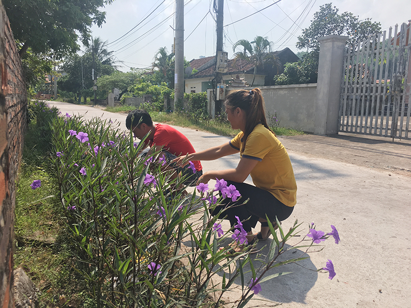 Chị Khổng Thị Ngọ, Bí thư chi bộ kiêm trưởng thôn 5, xã Cẩm Hải (áo vàng, bên phải) hướng dẫn đoàn viên thanh niên trồng hoa dọc tuyến đường