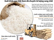 Xuất khẩu gạo Việt Nam đã chuyển từ lượng sang chất