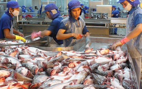 Chiến lược biển Việt Nam đến năm 2020 xác định hải sản  là 1 trong 5 ngành kinh tế mũi nhọn. (Ảnh minh họa: KT)