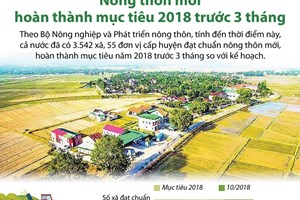 Nông thôn mới hoàn thành mục tiêu trước 3 tháng