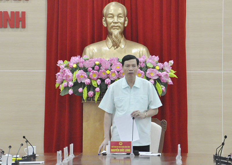 Chủ tịch UBND tỉnh Nguyễn Đức Long phát biểu chỉ đạo.