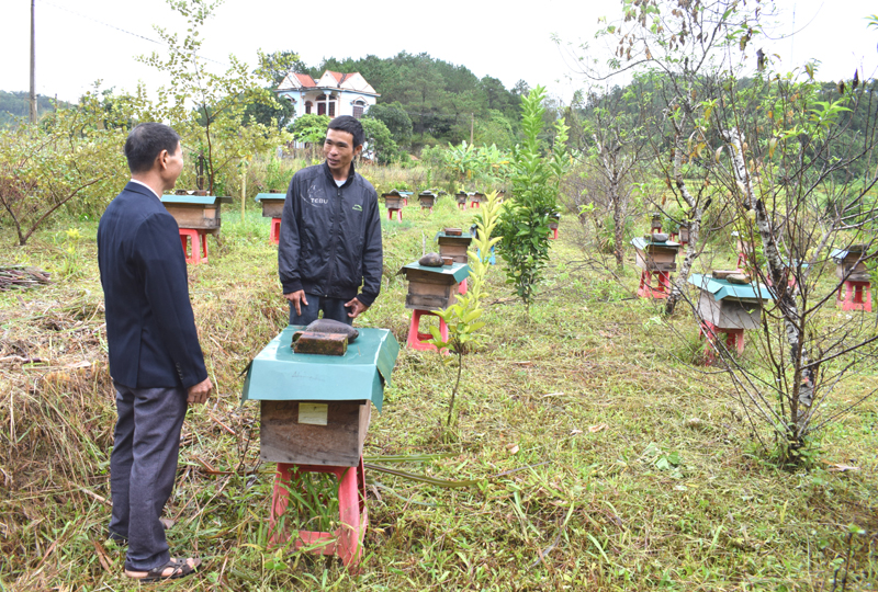 CCB Lã Văn Hà đang trao đổi về kỹ thuật nuôi ong với khách hàng tại khu vực nuôi ong của HTX Hợp Tiến