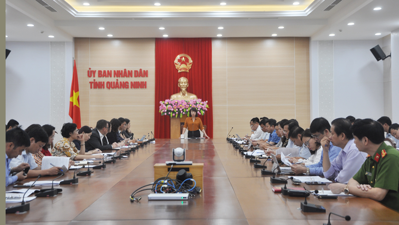 Đồng chí Vũ Thị Thu Thủy, Phó Chủ tịch UBND tỉnh chủ trì cuộc họp