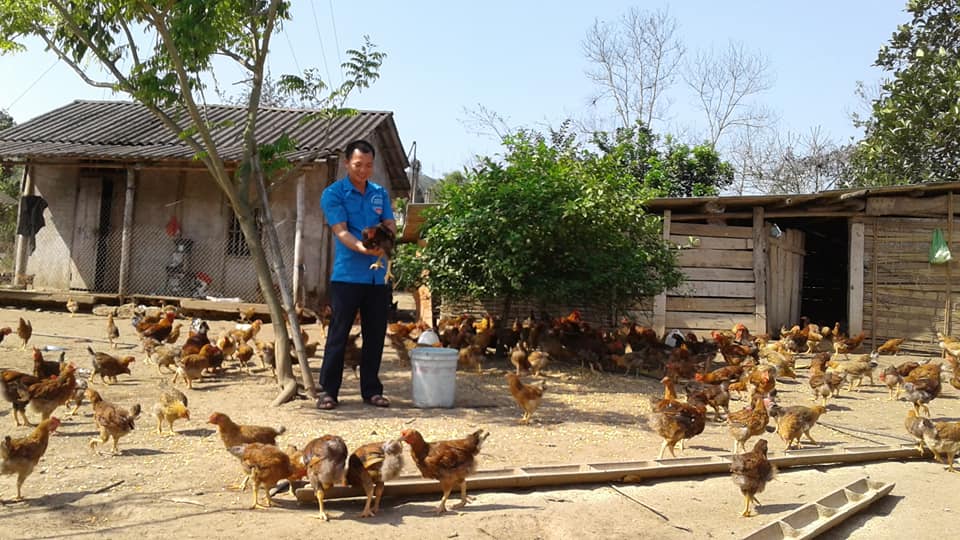 Mô hình chăn gà hiệu quả của anh Nịnh Văn Bình, thôn Khe Lọng Ngoài, xã Thanh Sơn. (Thùy Loan, Trung tâm TT-VH Ba Chẽ)