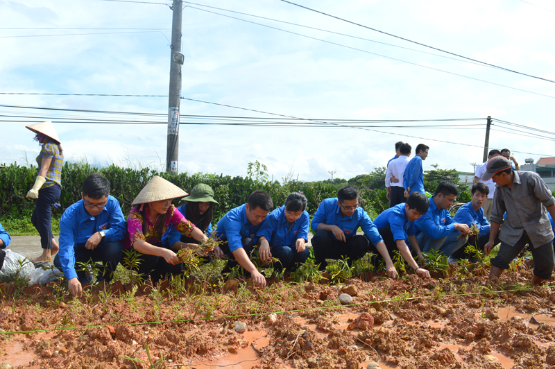 Đoàn Thanh niên khối các cơ quan tỉnh tổ chức dọn dẹp, trồng hoa ven đường tại xã Đầm Hà, huyện Đầm Hà.