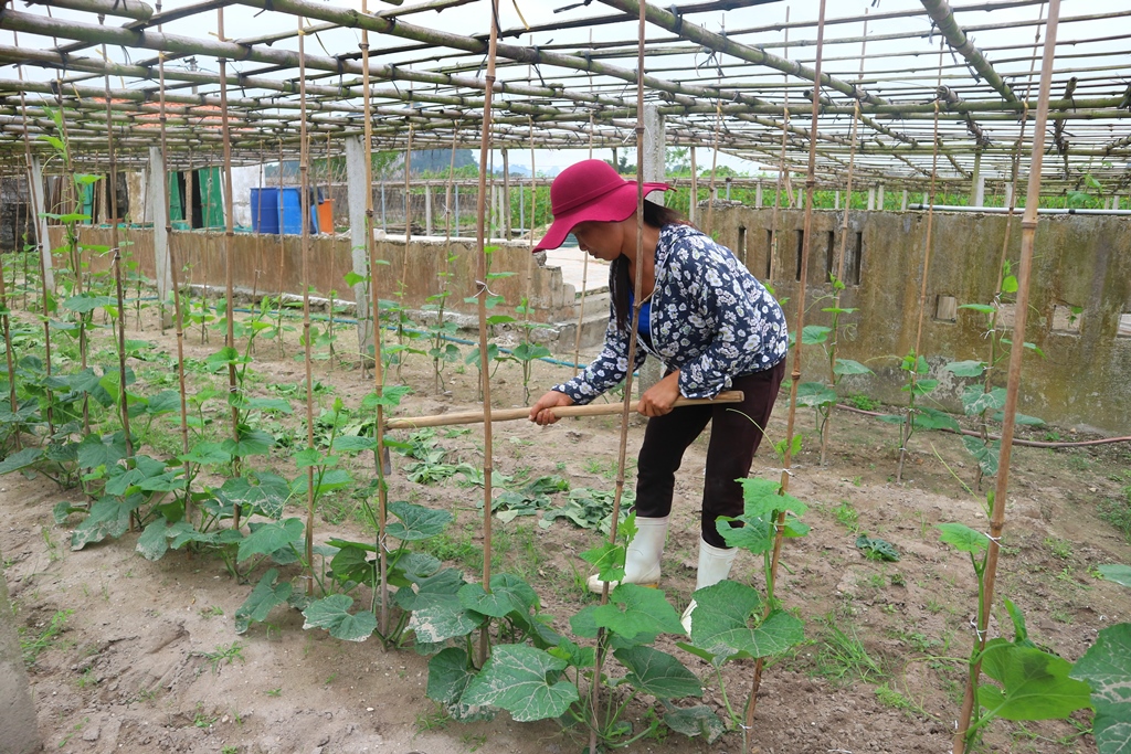 Các hộ dân trên địa bàn huyện Vân Đồn tích cực tham gia xây dựng vườn mẫu