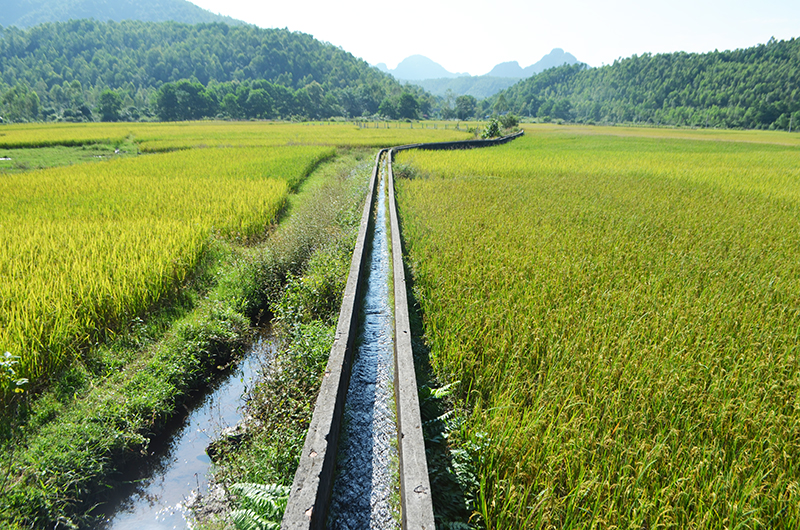 Hệ thống kênh mương ở Bản Sen được kiên cố hóa, đảm bảo việc tưới tiêu trên địa bàn (Hệ thống kênh mương nội đồng thôn Điền Xá)