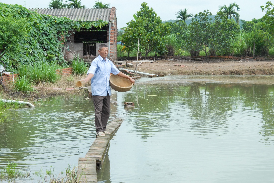 Nông dân xã Hồng Phong phát triển mô hình đầm nuôi tôm, cá hiệu quả.