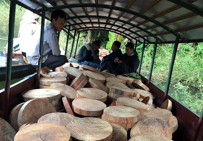 832 lóng gỗ nghiến dạng thớt được đối tượng Điêu Chính Ngoan vận chuyển bằng đường sông. Ảnh:baodienbienphu.info.vn