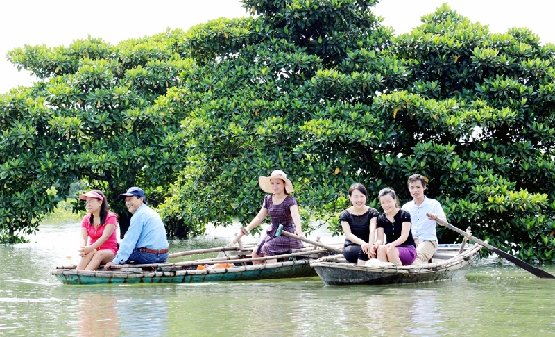 Rừng ngập mặn xã Đồng Rui, huyện Tiên Yên được bảo vệ tốt, góp phần điều hòa khí hậu và là nguồn tài nguyên quý để phát triển du lịch sinh thái. Ảnh Thu Hương