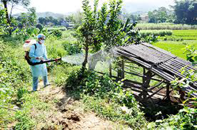 Cán bộ Trung tâm Y tế huyện Ba Chẽ  phun khử khuẩn tại một số điểm bị ngập sau mưa, lũ tháng 8/2018. Ảnh: Minh Đức