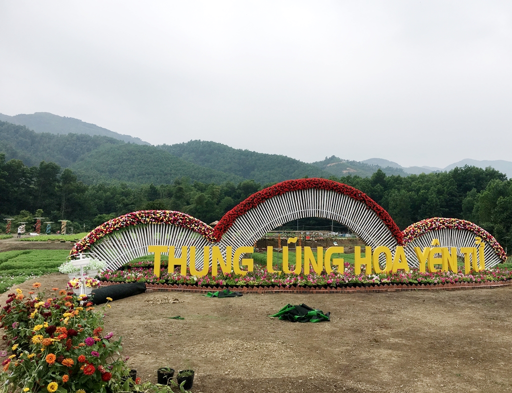 Dự kiến, đây sẽ trở thành một địa điểm check in vô cùng hấp dẫn dưới chân núi Yên Tử cho những người yêu hoa đến tham quan và chụp ảnh.