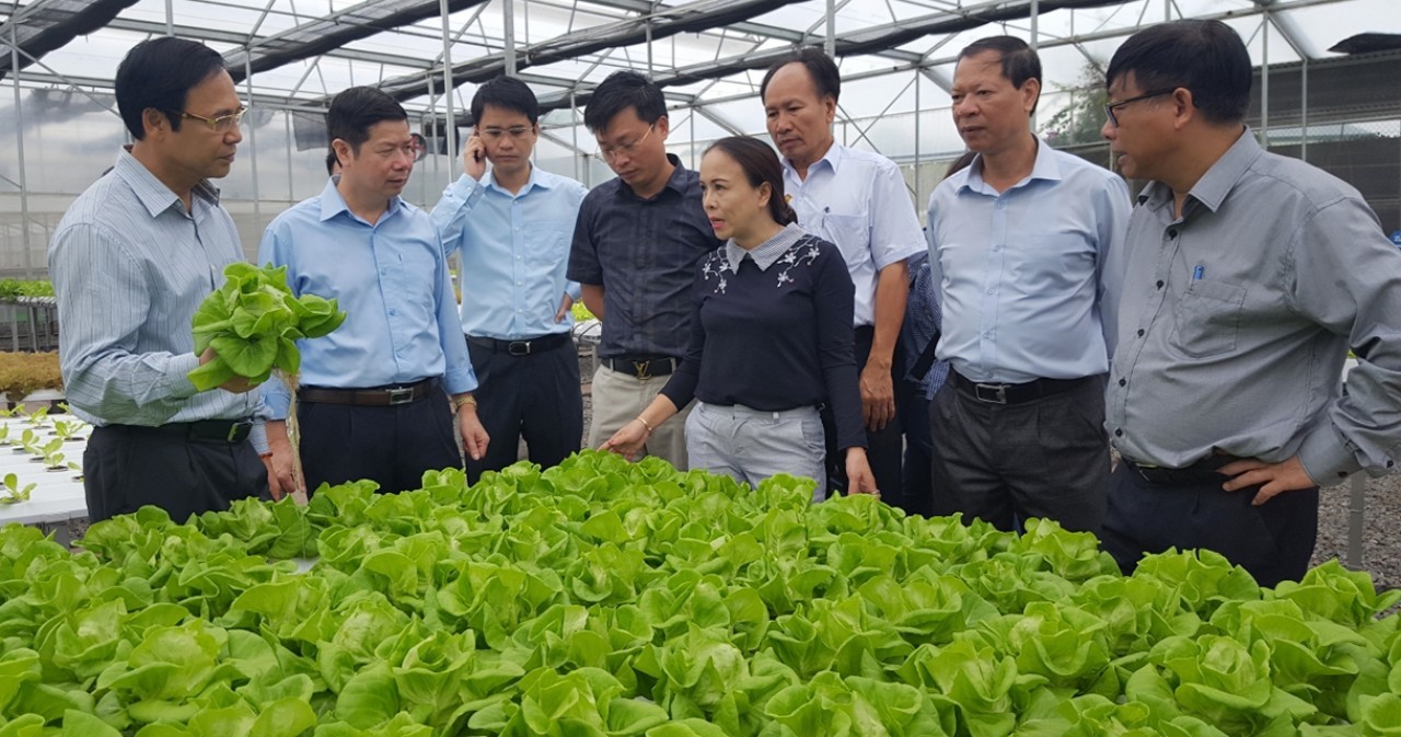Đồng chí Đặng Huy Hậu kiểm tra tình hình sản xuất tại cơ sở sản xuất rau thủy canh 188 Mạo Khê 