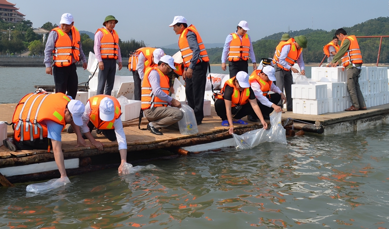 Các đại biểu thả cá tại vân Đồn ngày 1/4/2018 để tái tạo nguồn lợi thủy sản