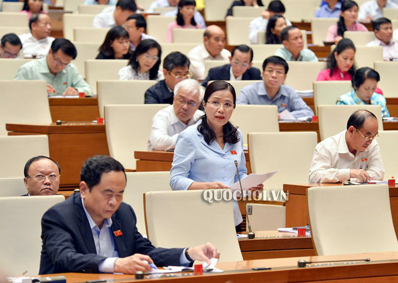 Trưởng Đoàn ĐBQH tỉnh Quảng Ninh Đỗ Thị Lan phát biểu tại một phiên họp tại kỳ họp lần thứ 6, Quốc hội khóa XIV. Theo Quochoi.vn