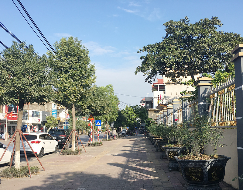 Một góc tuyến đường Trần Phú đoạn đi qua phường Cẩm Bình, TP Cẩm Phả