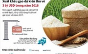 Xuất khẩu gạo dự kiến thu về 3 tỷ USD trong năm 2018