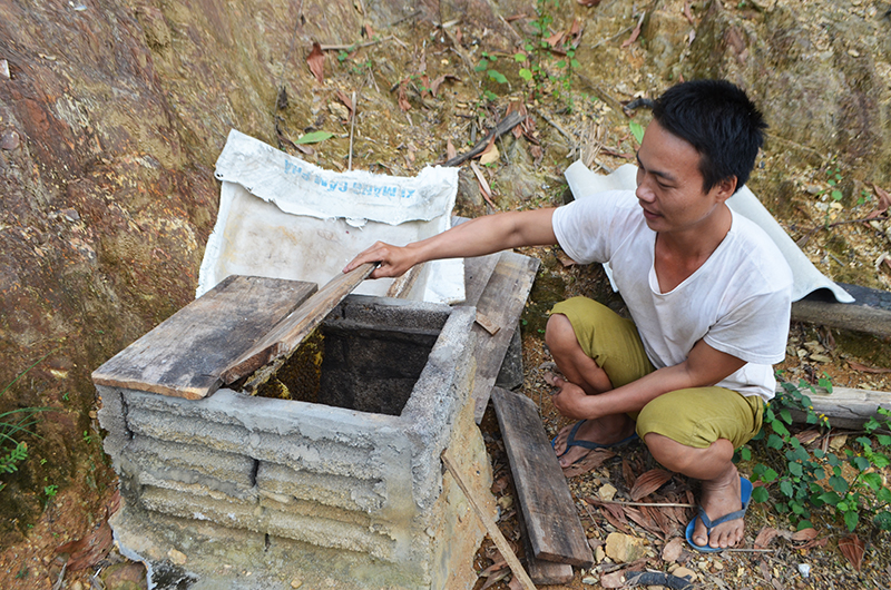 Anh Lý Tài Linh, thôn Đồng Chà, xã Đồng Lâm, huyện Hoành Bồ kiểm tra sự phát triển đàn ong của gia đình.