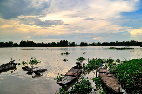 Búng Bình Thiên An Giang Điểm đến hấp dẫn ở miền Tây Nam Bộ