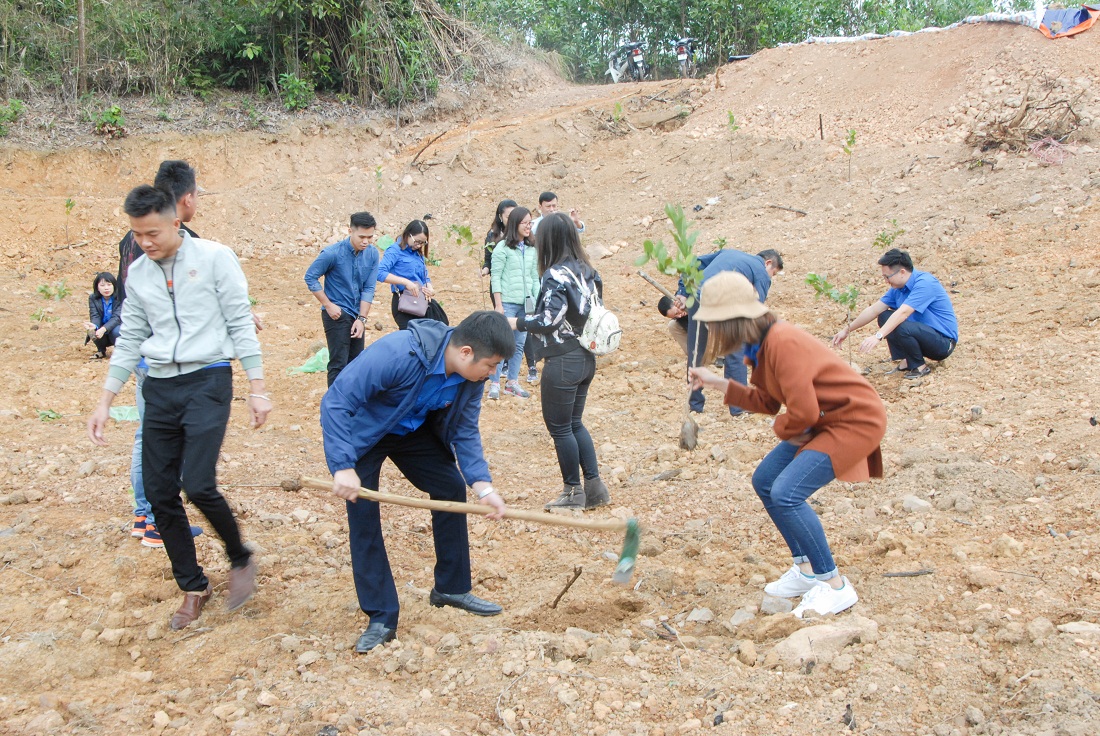 Sau khi trao tặng cây ổi giống, thành viên Đoàn tình nguyện tham gia hỗ trợ trồng cây cùng ĐVTN xã Thanh Lâm.