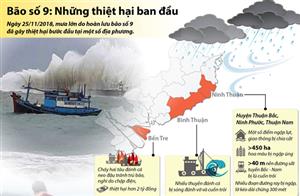 Những thiệt hại ban đầu do bão số 9