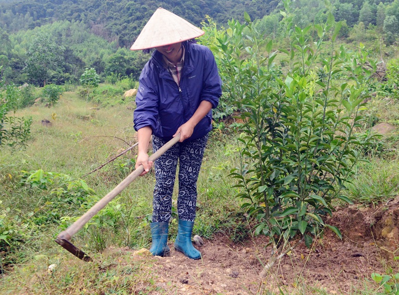 Chị Đào Thị Thu Xuân, thôn Đông Lĩnh (xã Bản Sen) bên cây cam mới trồng.