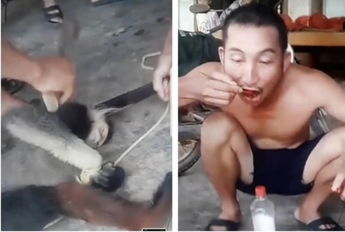 Hình ảnh nhóm người giết hại cá thể khỉ rồi ăn sống óc (ảnh cắt từ clip).