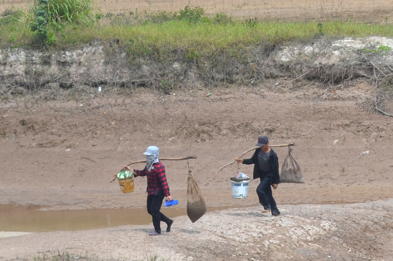 Bảo vệ rừng ngập mặn, đem lại nguồn lợi thủy sản cho hàng trăm hộ dân xã Đồng Rui