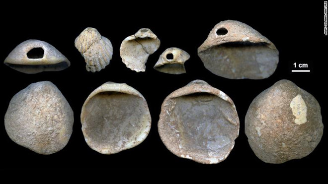Một số vật dụng được làm bằng vỏ sò được tìm thấy ở Tây Ban Nha có niên đại 115.000 đến 120.000 năm. Ảnh: Nature.