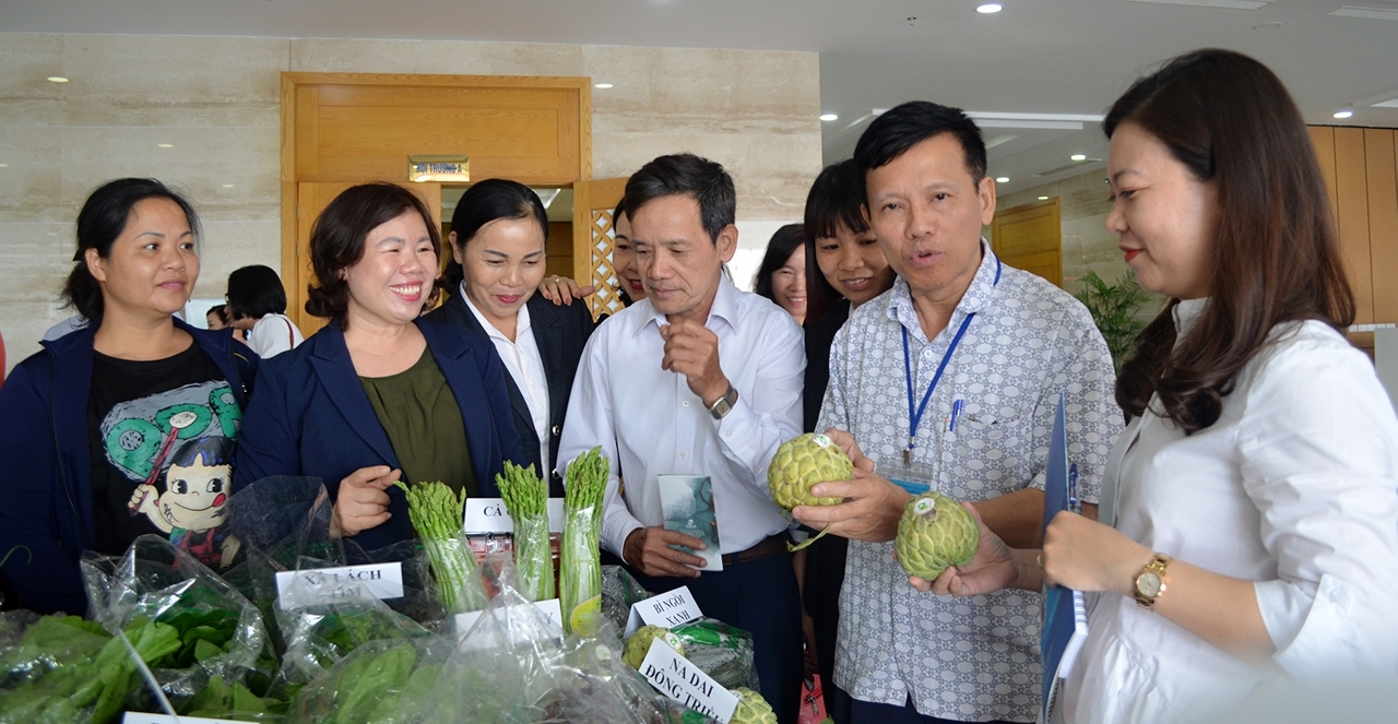 Sản phẩm na dai Đông Triều trồng theo tiêu chuẩn VietGAM của HTX dịch vụ nông nghiệp chất lượng cao Hoa Phong hiện đang cần được kết nối, tiêu thụ sản phẩm