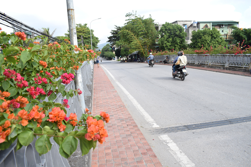 Hoa giấy trồng bên thành cầu ở phường Thanh Sơn