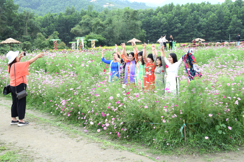 Thung lũng hoa Yên Tử, xã Thượng Yên Công hàng ngày có nhiều du khách đến thưởng thức hoa