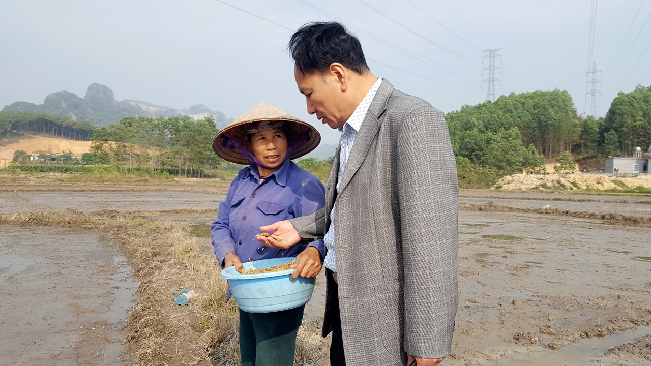 Lãnh đạo Chi cục trồng trọt và bảo vệ thực vật hướng dẫn người dân xã Thông Nhất, huyện Hoành Bồ gieo mạ trong điều kiện nhiệt đô xuống thấp
