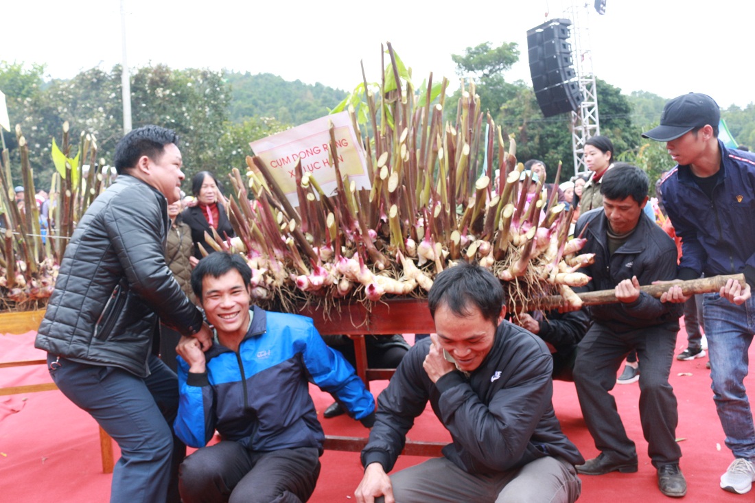 Người dân trưng bày sản phẩm củ dong riềng - cây trồng chủ lực của địa phương.