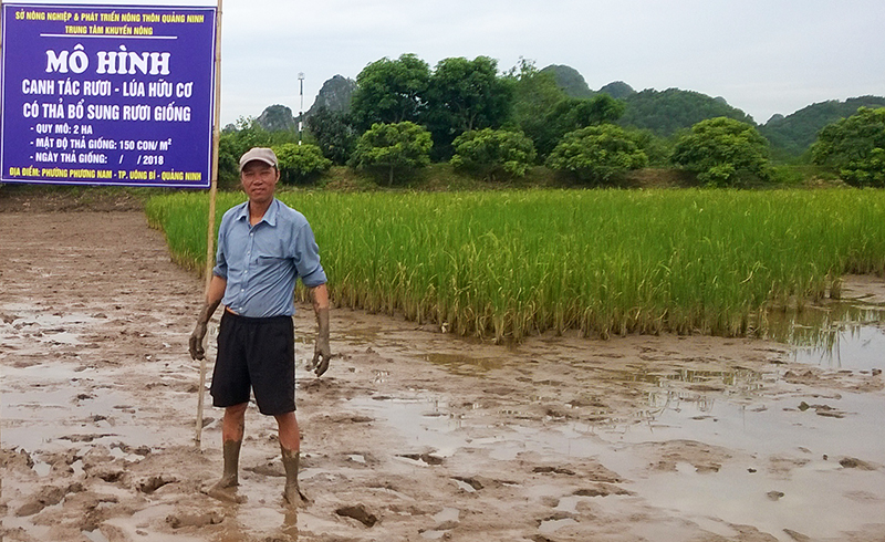 Thành lập Khu nông nghiệp ứng dụng công nghệ cao Quảng Ninh