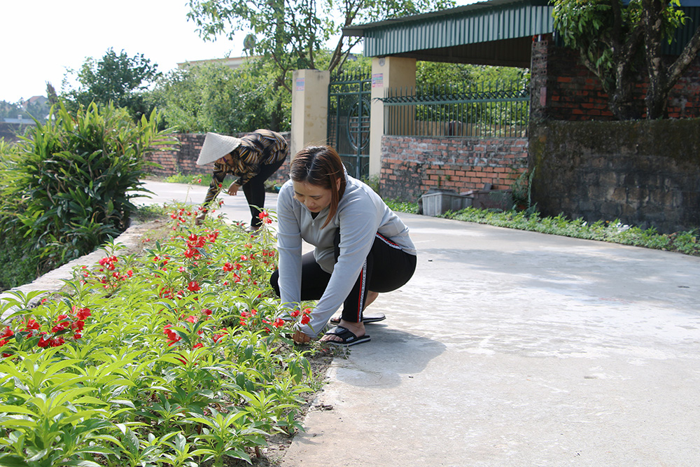 Nhân dân khu Đình, phường Cộng Hòa, TX Quảng Yên chăm sóc tuyến đường hoa trên địa bàn.