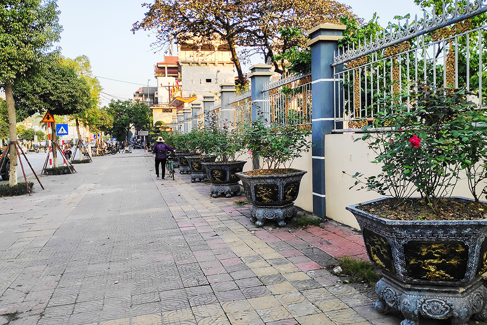 Những chậu hoa hồng được đặt trên tuyến phố chính của TP Cẩm Phả.