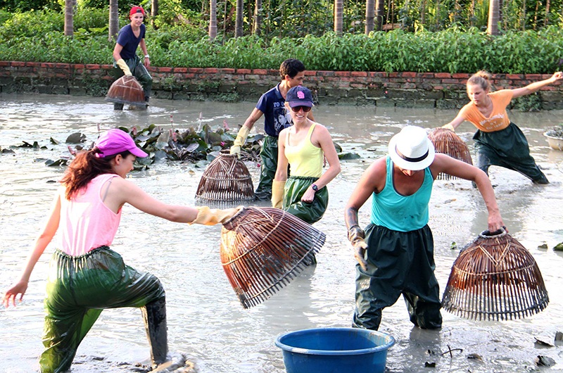 Khách du lịch trải nghiệm đánh bắt cá bằng nơm theo cách truyền thống tại Khu du lịch làng quê Yên Đức (Đông Triều) Ảnh: Đơn vị cung cấp   