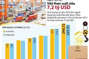 Việt Nam xuất siêu 7,2 tỷ USD trong năm 2018