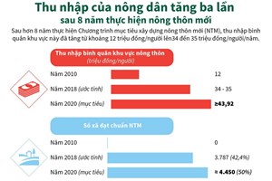 Thu nhập của nông dân tăng 3 lần sau 8 năm