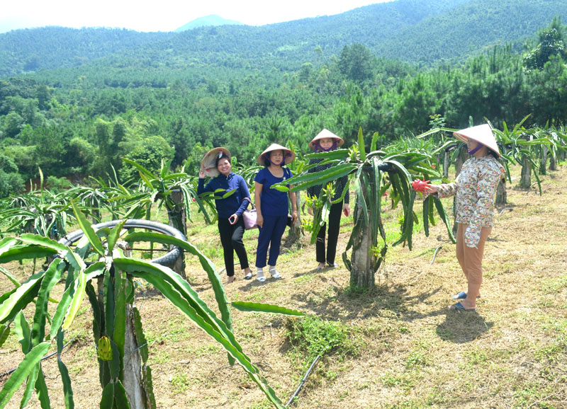 Mô hình kinh tế điểm của phụ nữ xã giáp biên giới Hoành Mô của chị Trần Thị Hiền (bên phải) thôn Bản Cặm, xã Hoành Mô