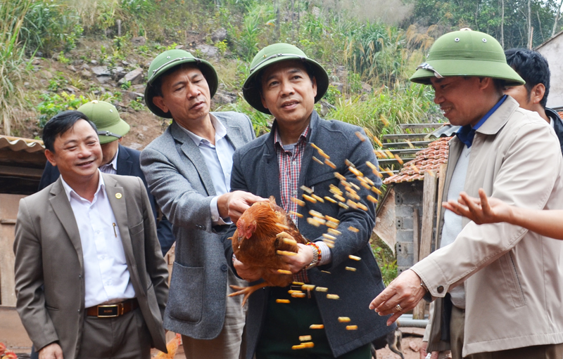 Tiếp tục tạo bứt phá cho nông nghiệp Quảng Ninh năm 2019