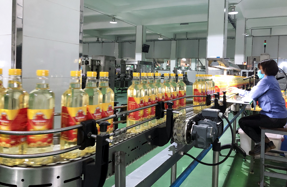 Sản xuất dầu ăn tại Công ty TNHH Dầu thực vật Cái Lân
