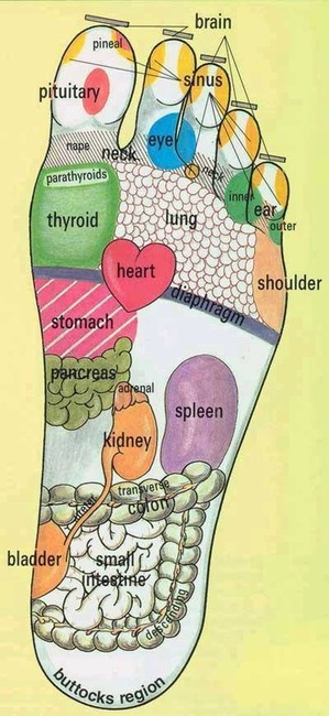 Tuyệt chiêu massage bàn chân giảm đau cơ thể & chữa bệnh ...