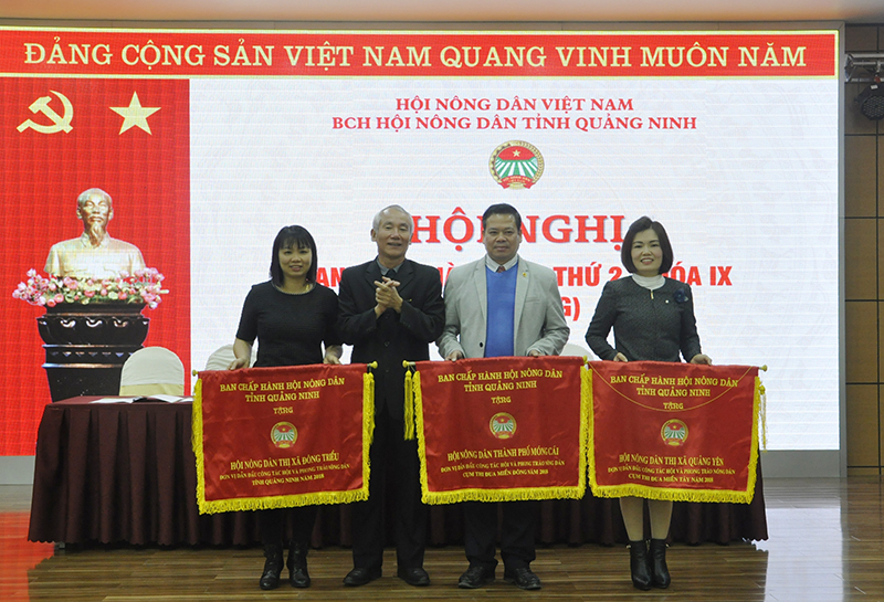 Đồng chí Đào Thanh Lưỡng, Chủ tịch Hội Nông dân tỉnh trao cờ thi đua dẫn đầu