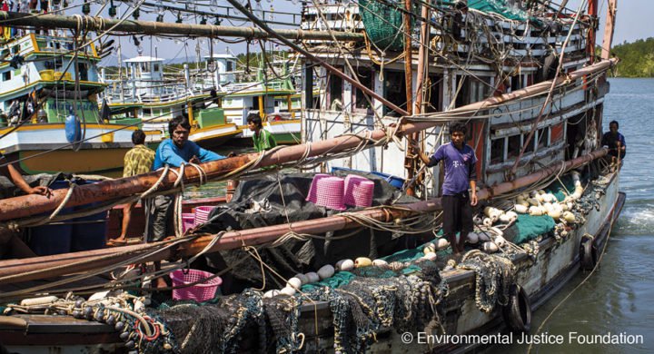 EU đã xóa tên Thái Lan khỏi danh sách cảnh báo các nước đánh cá bất hợp pháp. Ảnh minh họa: Environmental Justice Foundation