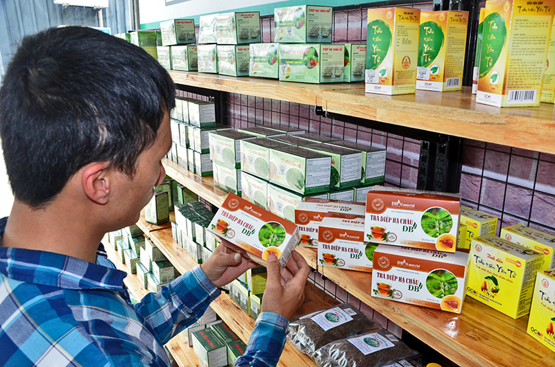 Các sản phẩm của Công ty ông ty TNHH Nuôi trồng, Chế biến và Sản xuất dược liệu Đông Bắ Trà Diệp hạ châu được bày bán tại cửa hàng OCOP BigC 